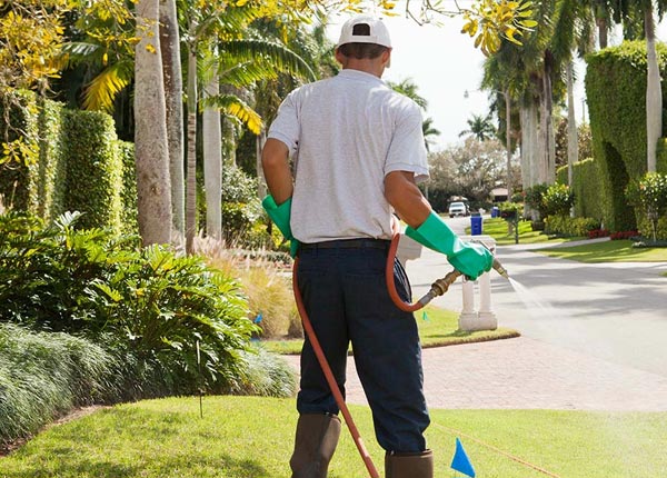About Englishtown NJ Pest Control Pros